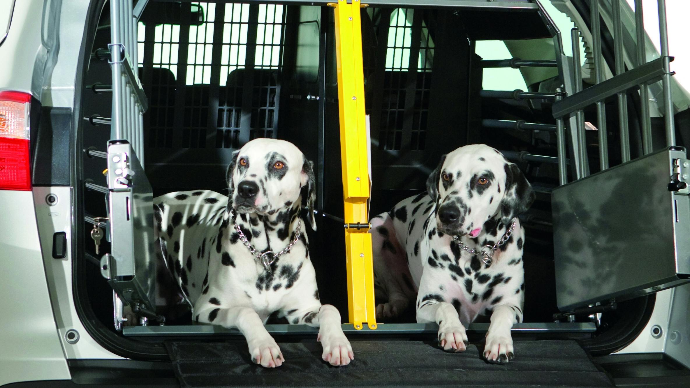 Större hundbur till bagaget med löstagbar mellanvägg för två hundar. Finns i olika storlekar, från 8 932 kr eller 744 kr/mån med märkeskort.